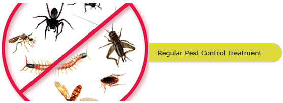 Pest Control